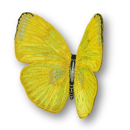 Cloudless Sulphur Butterfly 6" through 12" - Stephen Wilson Studio