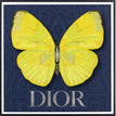 Dior Navy