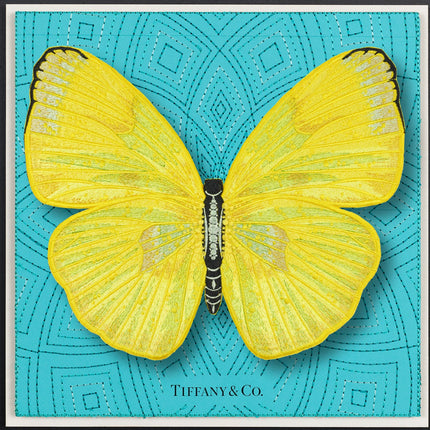 Cloudless Sulphur Butterfly Framed - Stephen Wilson Studio