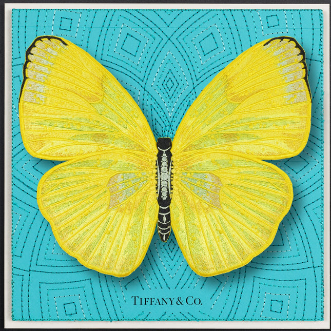 Cloudless Sulphur Butterfly Framed - Stephen Wilson Studio