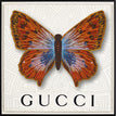 Gucci White