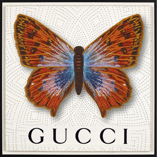 Common Opal Butterfly Framed - Stephen Wilson Studio