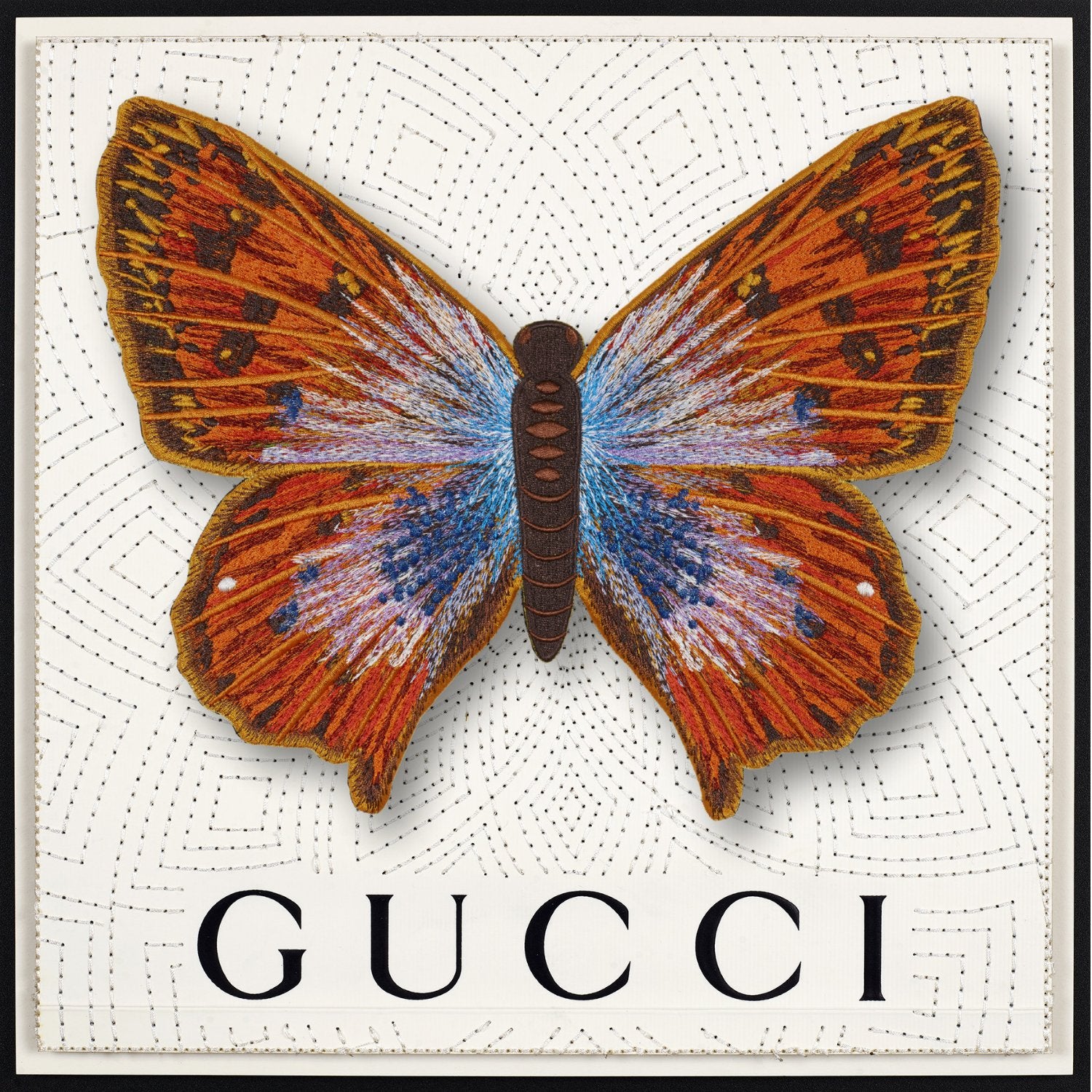 Common Opal Butterfly Framed - Stephen Wilson Studio