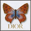 Dior White