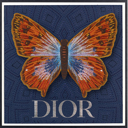 Common Opal Butterfly Framed - Stephen Wilson Studio