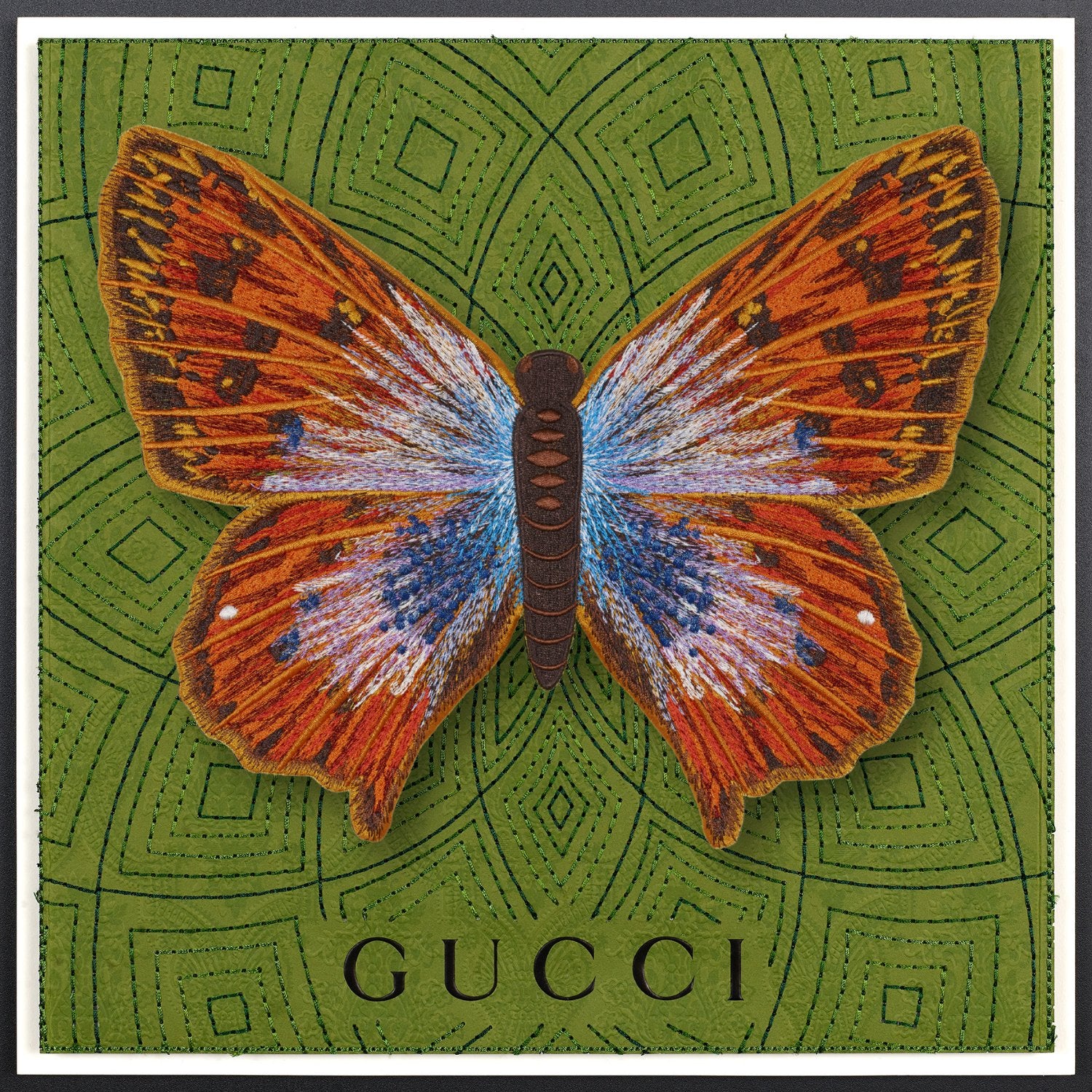 Common Opal Butterfly Framed - Stephen Wilson Studio