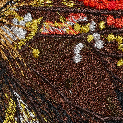 Ecuador Butterfly 6" through 12" - Stephen Wilson Studio