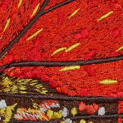 Ecuador Butterfly 6" through 12" - Stephen Wilson Studio