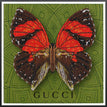 Gucci Green