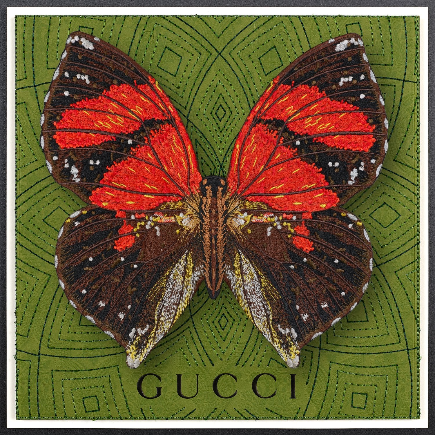 Ecuador Butterfly Framed - Stephen Wilson Studio