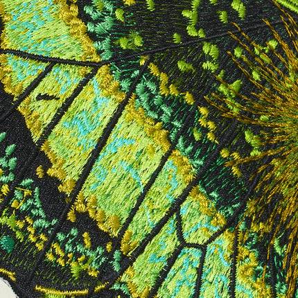 Emerald Swallowtail Butterfly 6" through 12" - Stephen Wilson Studio