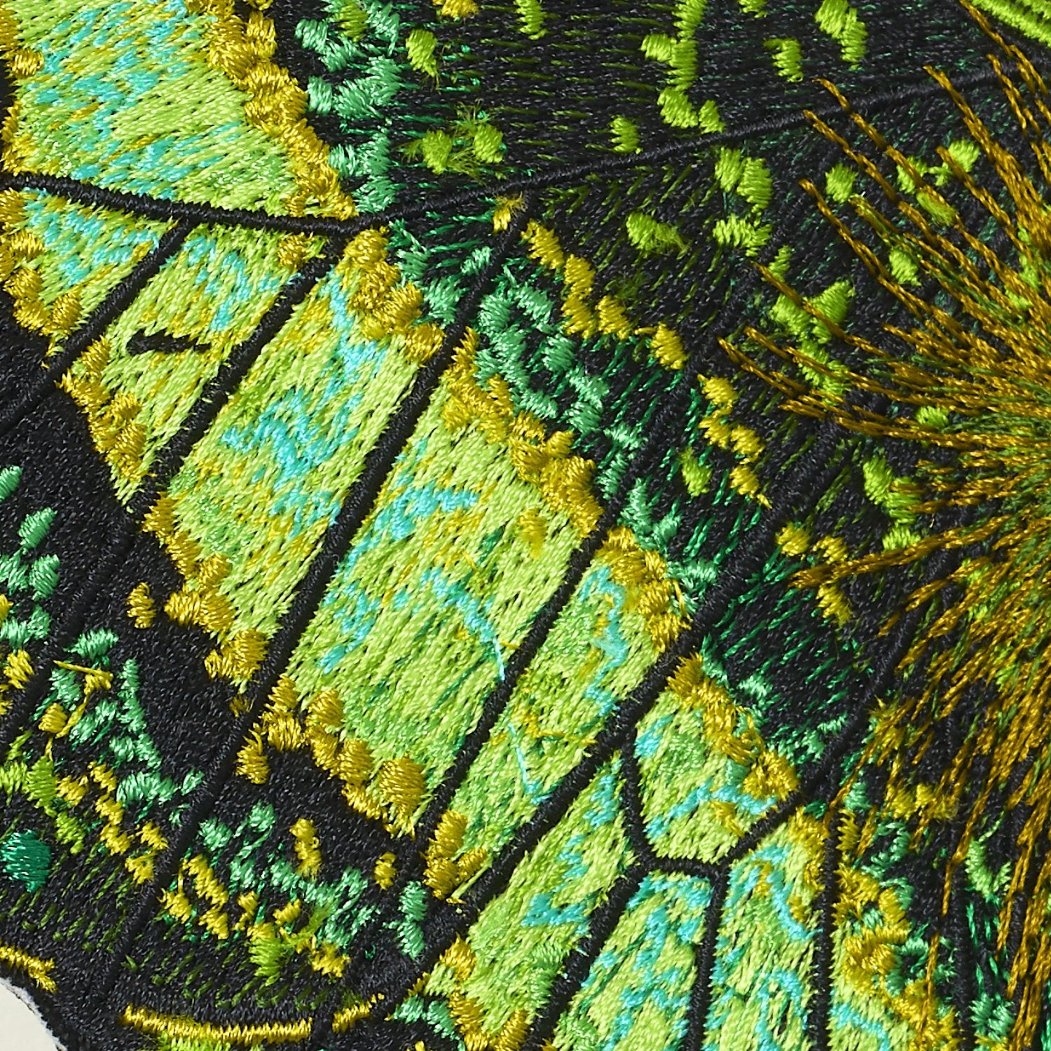 Emerald Swallowtail Butterfly 6" through 12" - Stephen Wilson Studio