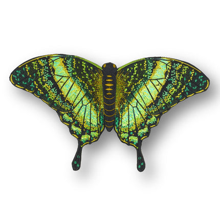 Emerald Swallowtail Butterfly 6" through 12" - Stephen Wilson Studio