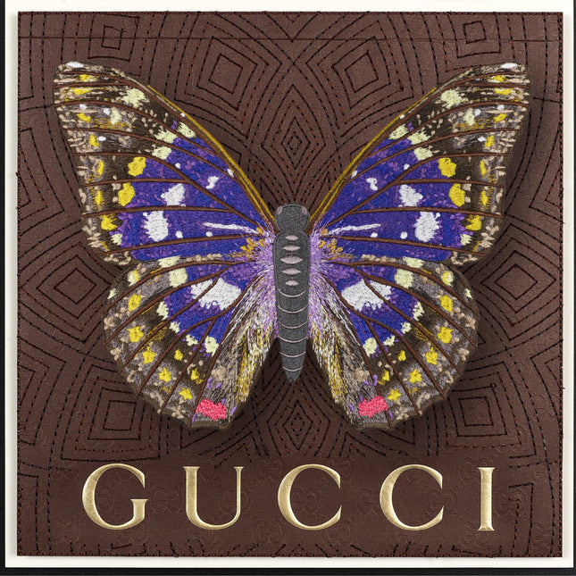 Emperor Butterfly Framed - Stephen Wilson Studio