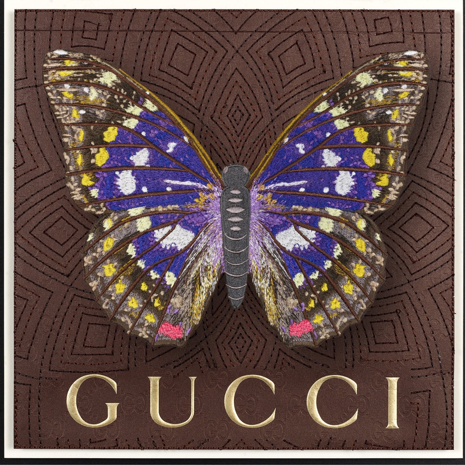 Emperor Butterfly Framed - Stephen Wilson Studio