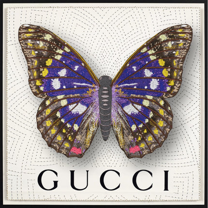 Emperor Butterfly Framed - Stephen Wilson Studio