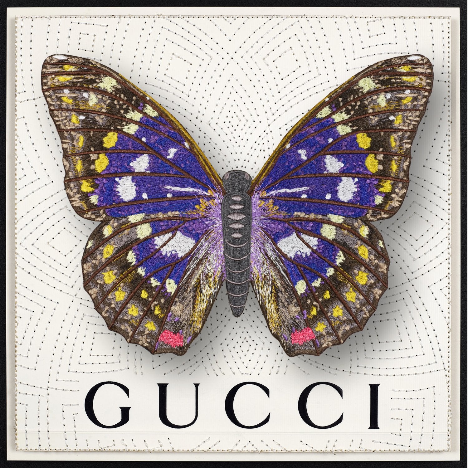 Emperor Butterfly Framed - Stephen Wilson Studio