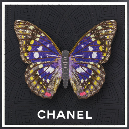 Emperor Butterfly Framed - Stephen Wilson Studio