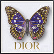 Dior White