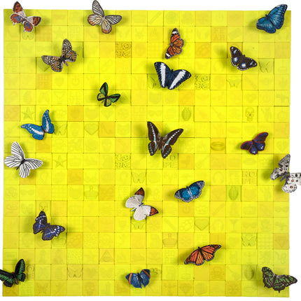 Flown Too Close To The Sun - Stephen Wilson Studio