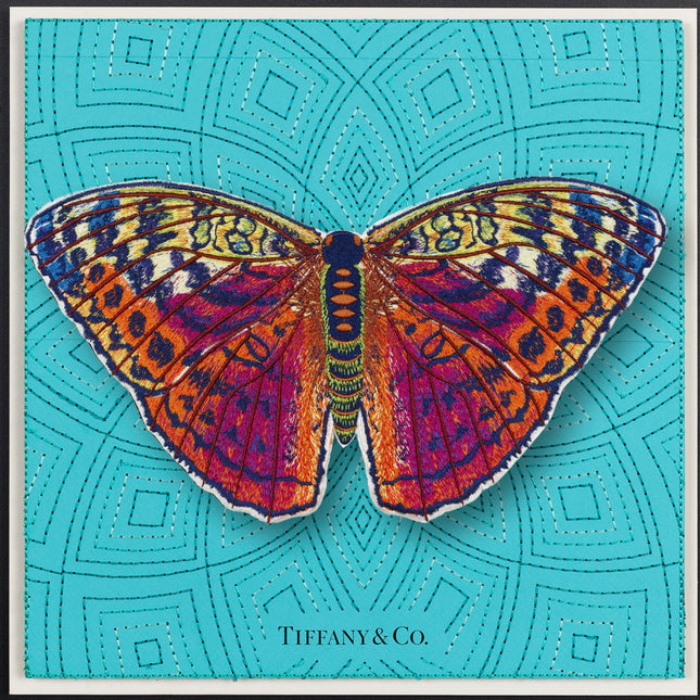 Forrester Butterfly Framed - Stephen Wilson Studio