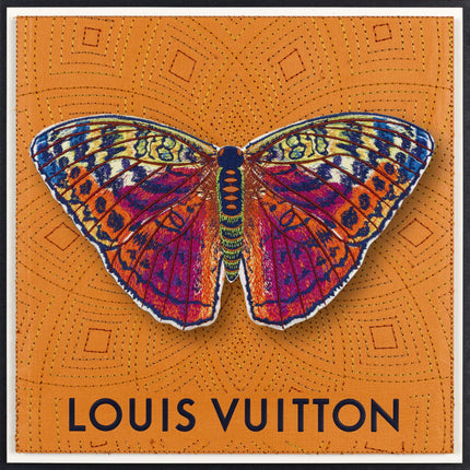 Forrester Butterfly Framed - Stephen Wilson Studio
