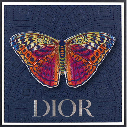 Forrester Butterfly Framed - Stephen Wilson Studio