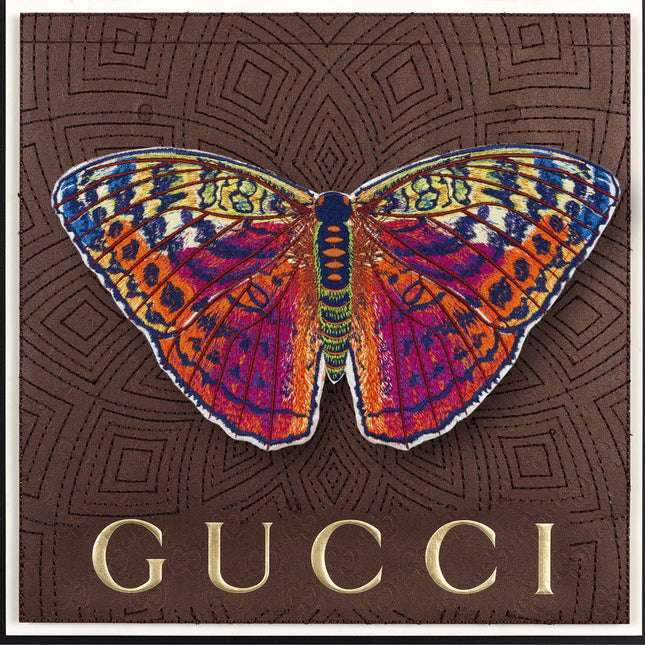 Forrester Butterfly Framed - Stephen Wilson Studio