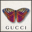 Gucci White