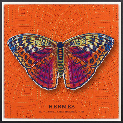 Forrester Butterfly Framed - Stephen Wilson Studio
