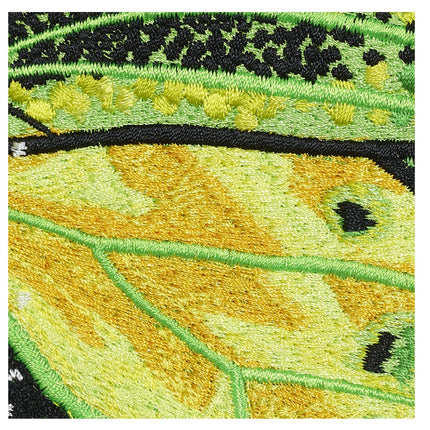 Green Birdwing Butterfly 6" through 12" - Stephen Wilson Studio