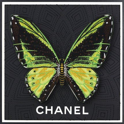 Green Birdwing Butterfly Framed - Stephen Wilson Studio