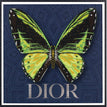 Dior Navy