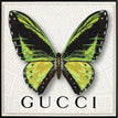 Gucci White