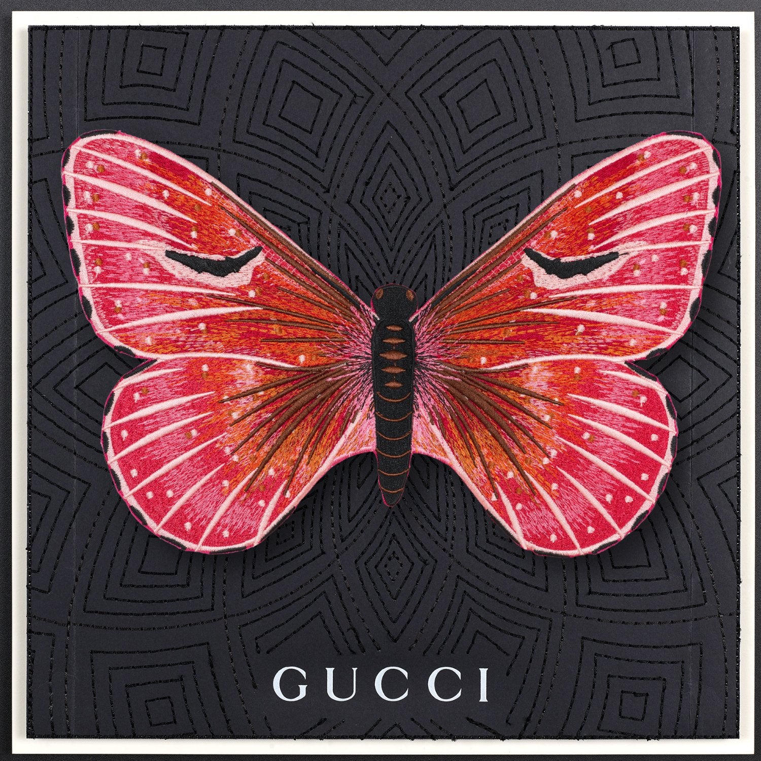 Isabella Butterfly Framed - Stephen Wilson Studio