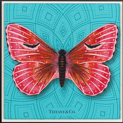 Isabella Butterfly Framed - Stephen Wilson Studio