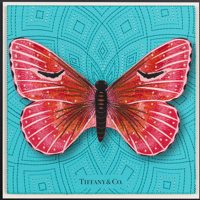 Isabella Butterfly Framed - Stephen Wilson Studio