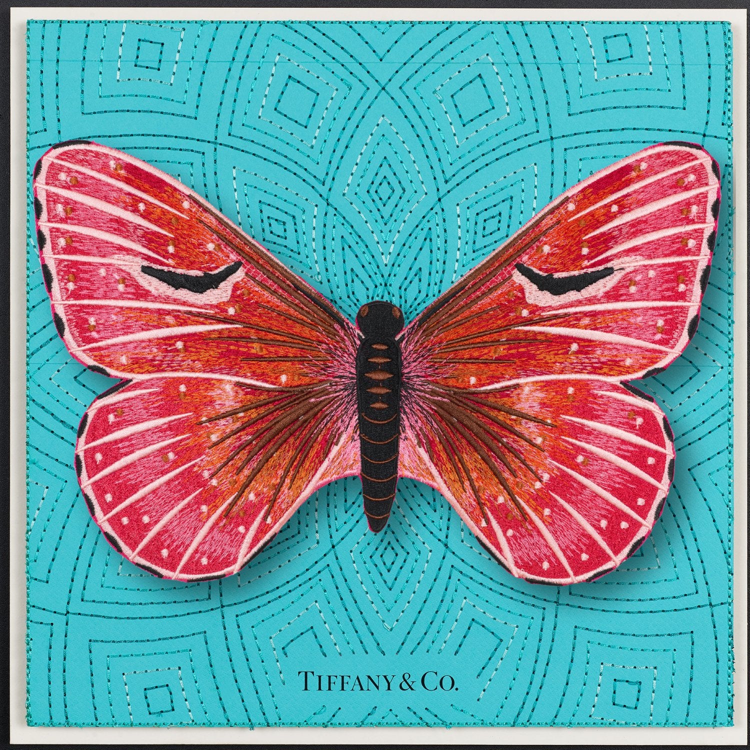 Isabella Butterfly Framed - Stephen Wilson Studio