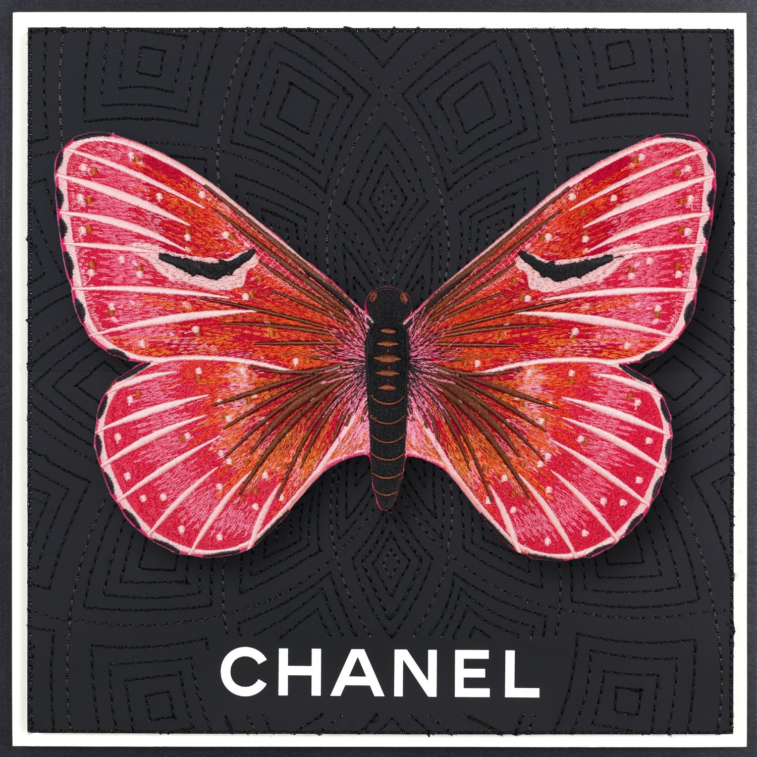 Isabella Butterfly Framed - Stephen Wilson Studio