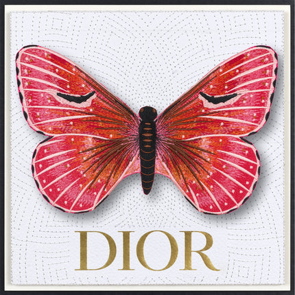 Isabella Butterfly Framed - Stephen Wilson Studio