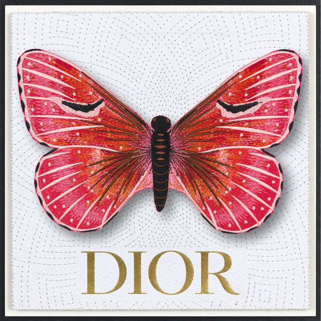 Isabella Butterfly Framed - Stephen Wilson Studio