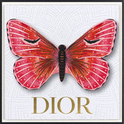 Isabella Butterfly Framed - Stephen Wilson Studio