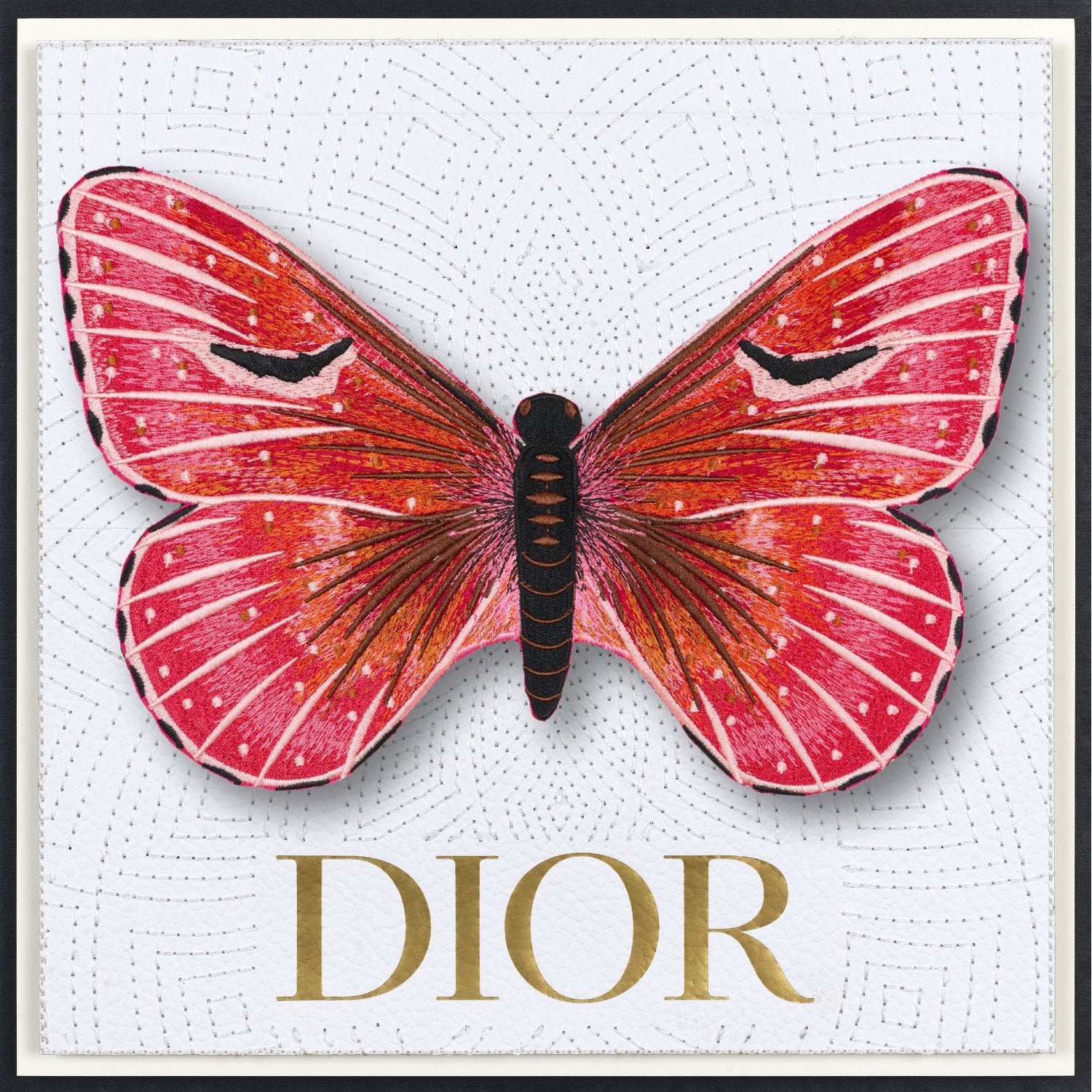 Isabella Butterfly Framed - Stephen Wilson Studio