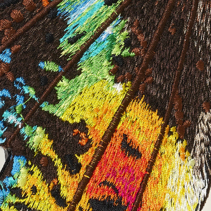Madagascar Moth 6" through 12" - Stephen Wilson Studio