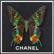Chanel Black