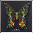 Gucci Black