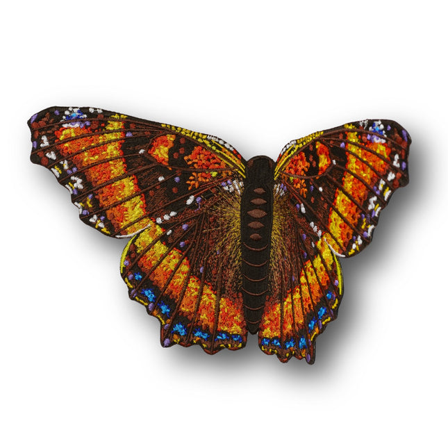Milbert’s Tortoiseshell Butterfly 6" through 12" - Stephen Wilson Studio
