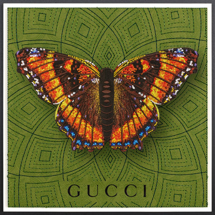 Milbert’s Tortoiseshell Butterfly Framed - Stephen Wilson Studio