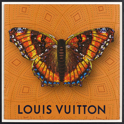 Milbert’s Tortoiseshell Butterfly Framed - Stephen Wilson Studio