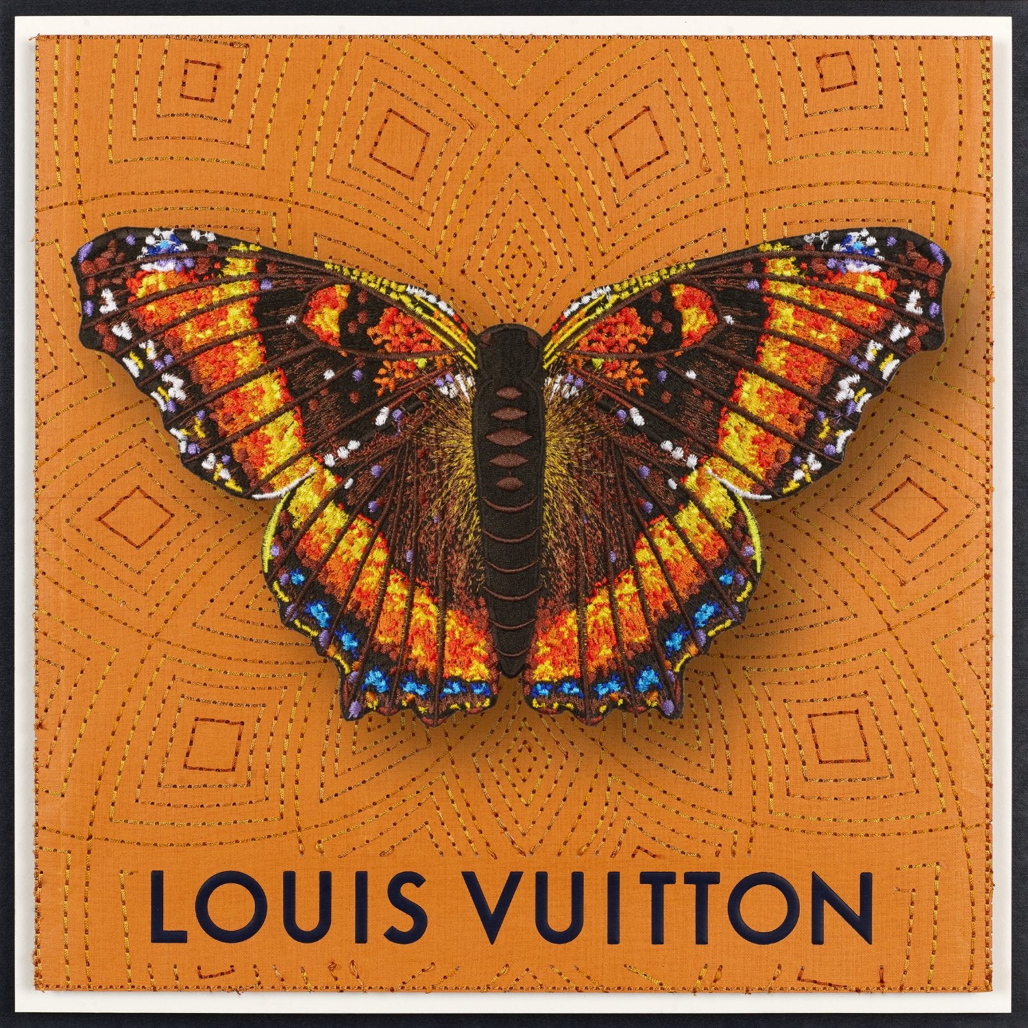 Milbert’s Tortoiseshell Butterfly Framed - Stephen Wilson Studio